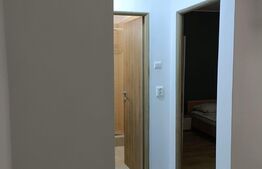 Apartament de vânzare, 2 camere, 50 mp, etaj intermediar, Gemenii, complet renovat 