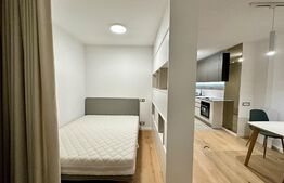 Studio, PREMIUM, 42mp, zona Iulius Mall