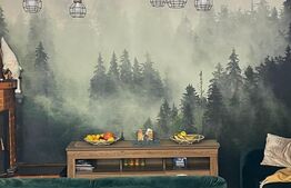 Cabana 6 camere, la cheie, 180mp, autorizatie de pensiune 3***, Belis