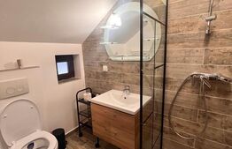 Cabana 6 camere, la cheie, 180mp, autorizatie de pensiune 3***, Belis