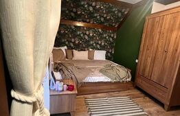 Cabana 6 camere, la cheie, 180mp, autorizatie de pensiune 3***, Belis