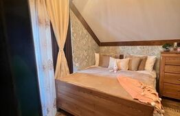 Cabana 6 camere, la cheie, 180mp, autorizatie de pensiune 3***, Belis