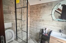 Cabana 6 camere, la cheie, 180mp, autorizatie de pensiune 3***, Belis