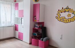 Apartament 7 camere, 2 bai, 145 mp, terasa 75 mp, boxa, parcare, zona Stejarului!