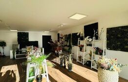 Spatiu comercial finisat, 110 mp, ideal cafenea/magazine, zona Borhanci