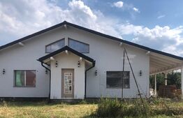 Casa deosebita, 4 camere, 191mp, Sanpetru