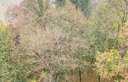 EXCLUSIVITATE! Apartament  4 camere, 57  mp, zona strazii Bucium