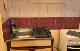 Garsoniera, 45 mp, parcare, etaj intermediar, zona Big Manastur