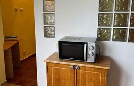 Garsoniera, 45 mp, parcare, etaj intermediar, zona Big Manastur