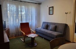 Apartament cu 2 camere, 47mp, orietare Sudica, zona Bd-ul 1 Decembrie