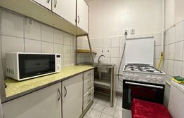 Garsoniera, 20 mp, etaj intermediar, zona Iulius Mall