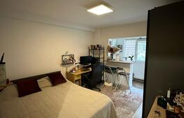 Garsoniera, 23 mp,  zona Marasti 