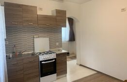 Casa 2 camere, 40mp, teren, 200 mp, zona strazii Maramuresului