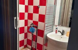 Garsonieră 24 mp, etaj intermediar 2/4, zona Săcele