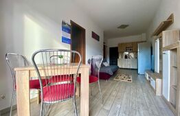 Apartament 2 camere, 45mp, terasa, Park Lake, zona Iulius Mall