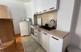 Garsoniera, 30 mp, A.C. pet friendly, zona străzii București