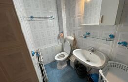 Garsoniera, 30 mp, A.C. pet friendly, zona străzii București