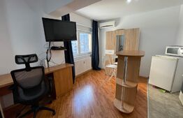 Garsoniera, 30 mp, A.C. pet friendly, zona străzii București