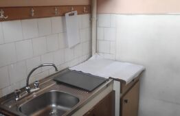 Garsoniera, 30 mp, disponibilă de la 1 Ianuarie, zona străzii Detunata