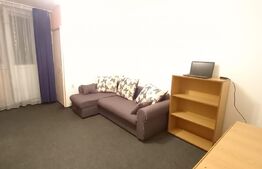 Garsoniera, 30 mp, disponibilă de la 1 Ianuarie, zona străzii Detunata