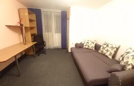 Garsoniera, 30 mp, disponibilă de la 1 Ianuarie, zona străzii Detunata