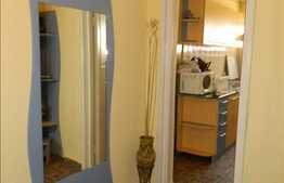 2 camere, 53 mp, decomandat, zona Piata Flora!