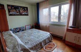 Apartament 2 camere, 48mp, zona Micsunica