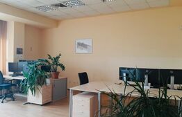 Cladire de birouri, 1275 mp, curte de 1600 mp, Dambu Rotund