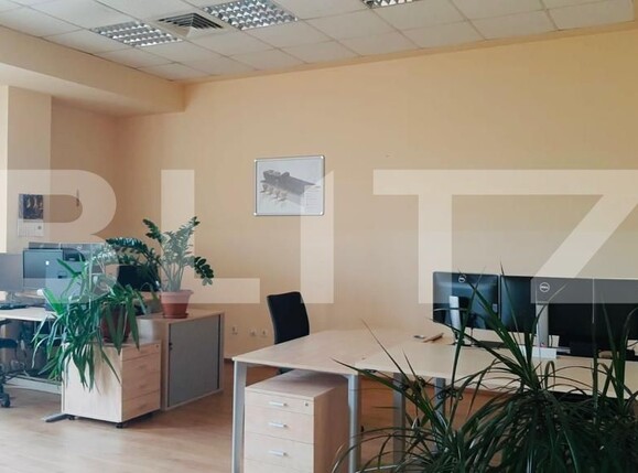 Spațiu birouri de închiriat Dambul Rotund - 130781SIB | BLITZ Cluj-Napoca | Poza4