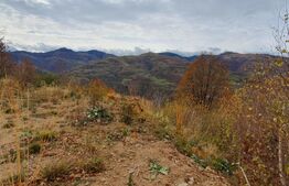 Teren Muntele Rece 700mp, Intravilan, orientare Sud Vest, utilitati, spre Manastire