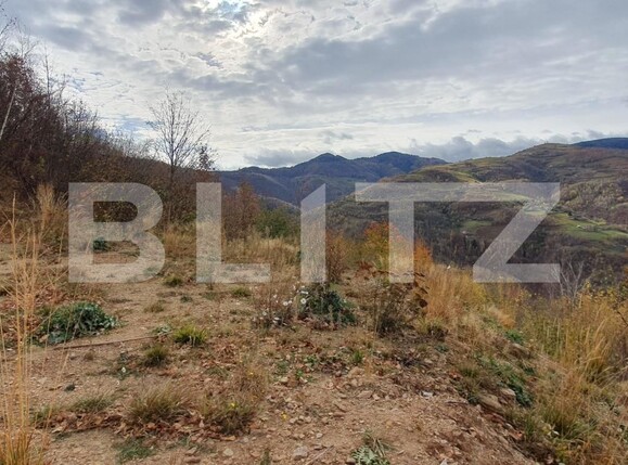 Teren de vânzare Exterior Vest - 130800TV | BLITZ Cluj-Napoca | Poza1