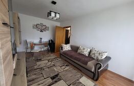 Apartament cu 2 camere, 40mp, decomandate, etaj intermediar,orientare Sud-Vestica, Manastur