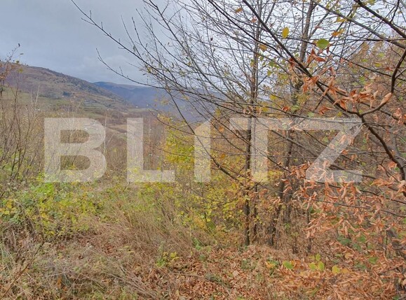 Teren de vânzare Exterior Vest - 130803TV | BLITZ Cluj-Napoca | Poza1