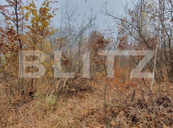 Teren de vânzare Exterior Vest - 130803TV | BLITZ Cluj-Napoca | Poza3