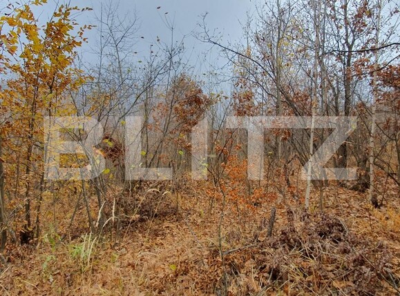 Teren de vânzare Exterior Vest - 130803TV | BLITZ Cluj-Napoca | Poza2