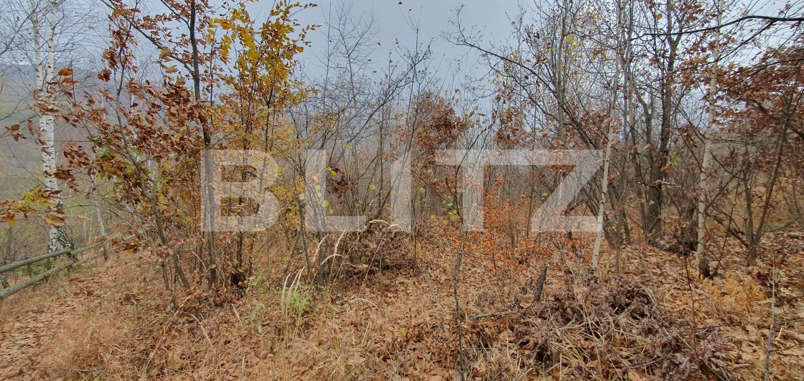 Teren de vânzare Exterior Vest - 130803TV | BLITZ Cluj-Napoca | Poza3