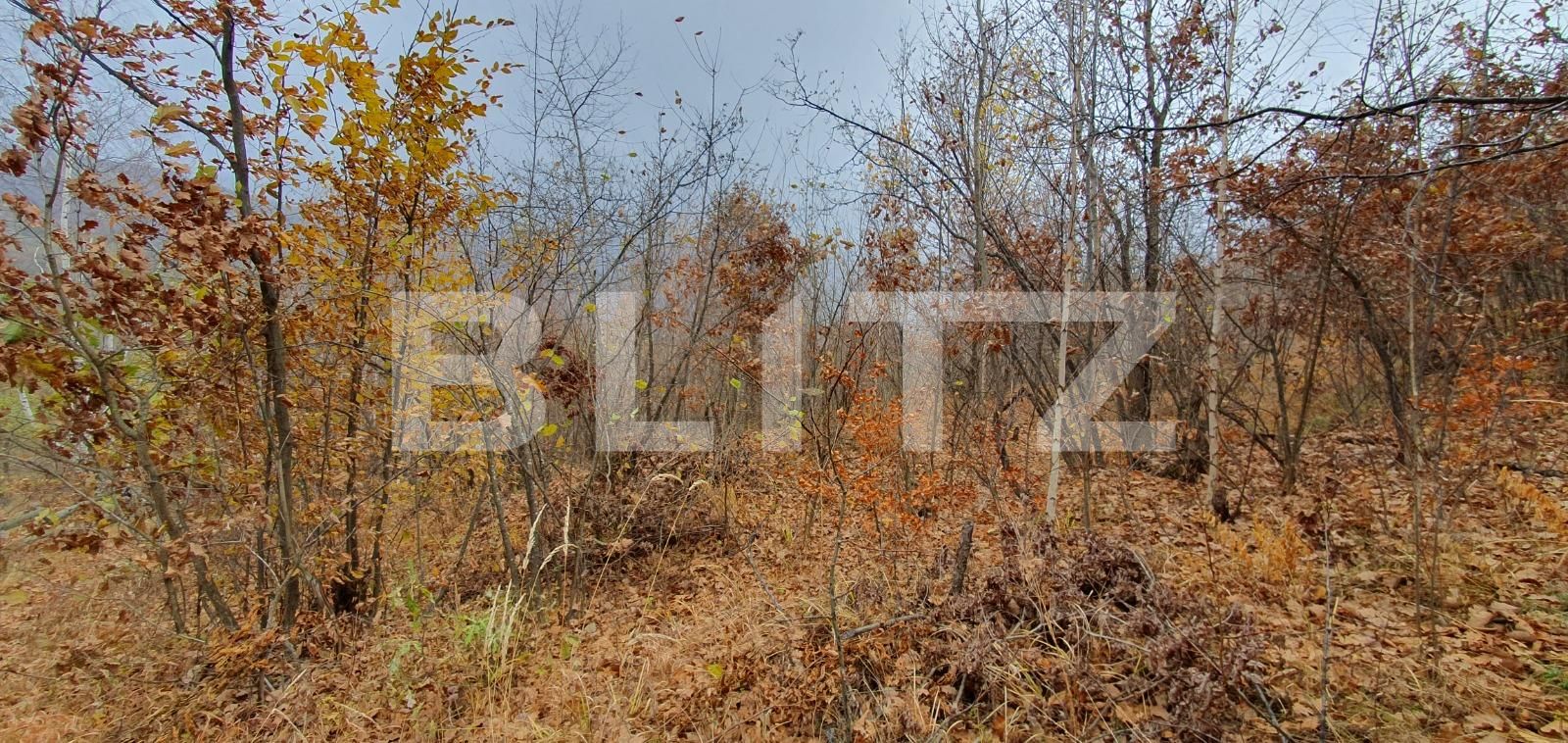 Teren de vânzare Exterior Vest - 130803TV | BLITZ Cluj-Napoca | Poza2