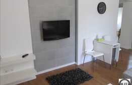 Apartament 55 mp, deosebit, superfinisat, spatios, luminos, zona  Campului