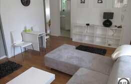 Apartament 55 mp, deosebit, superfinisat, spatios, luminos, zona  Campului