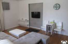 Apartament 55 mp, deosebit, superfinisat, spatios, luminos, zona  Campului