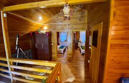 Cabana 4 camere, 130 mp utili, 2200 mp teren, zona Ocolis, Jud.Alba 