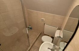 Cabana 4 camere, 130 mp utili, 2200 mp teren, zona Ocolis, Jud.Alba 