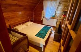 Cabana 4 camere, 130 mp utili, 2200 mp teren, zona Ocolis, Jud.Alba 