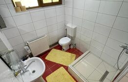 Cabana 4 camere, 130 mp utili, 2200 mp teren, zona Ocolis, Jud.Alba 