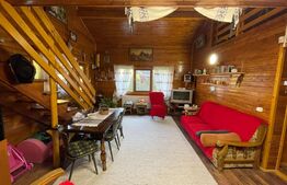 Cabana 4 camere, 130 mp utili, 2200 mp teren, zona Ocolis, Jud.Alba 