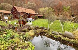 Cabana 4 camere, 130 mp utili, 2200 mp teren, zona Ocolis, Jud.Alba 