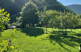 Cabana 4 camere, 130 mp utili, 2200 mp teren, zona Ocolis, Jud.Alba 