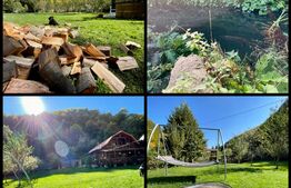 Cabana 4 camere, 130 mp utili, 2200 mp teren, zona Ocolis, Jud.Alba 