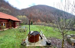 Cabana 4 camere, 130 mp utili, 2200 mp teren, zona Ocolis, Jud.Alba 