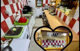 Cabana 4 camere, 130 mp utili, 2200 mp teren, zona Ocolis, Jud.Alba 